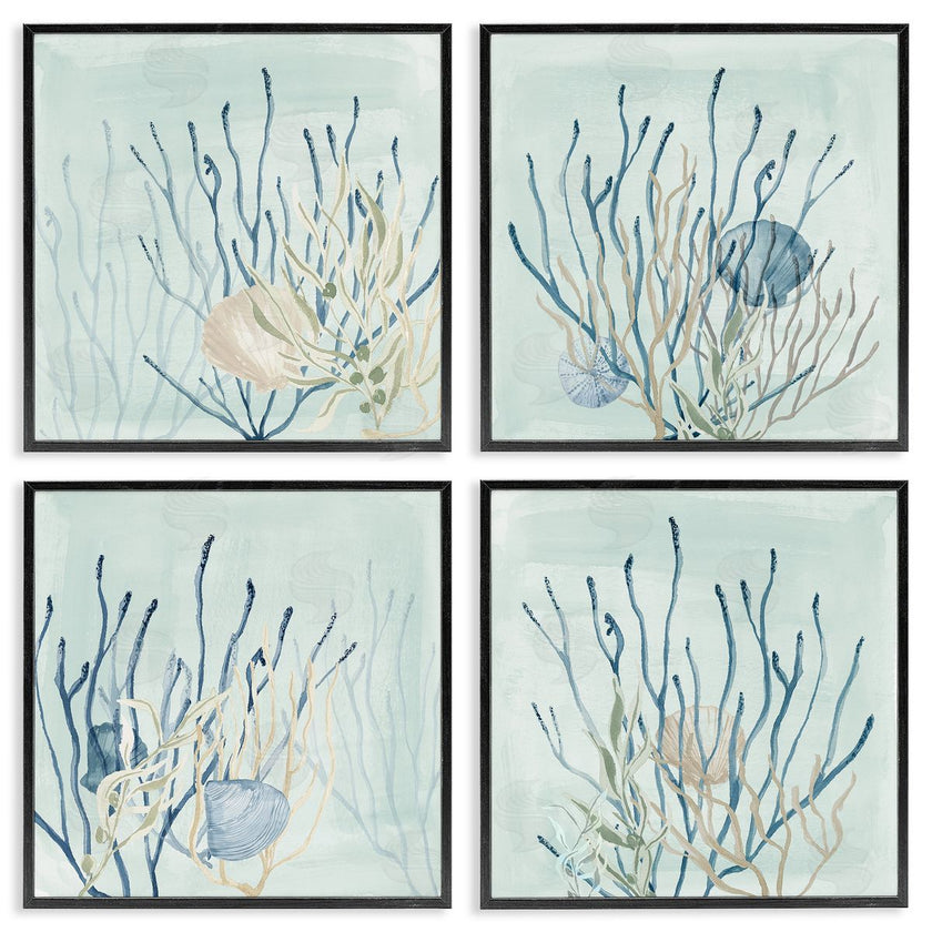 Lucille Price | Swimming Underwater Sea Life Coral