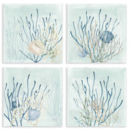 Lucille Price | Swimming Underwater Sea Life Coral