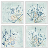 Lucille Price | Swimming Underwater Sea Life Coral