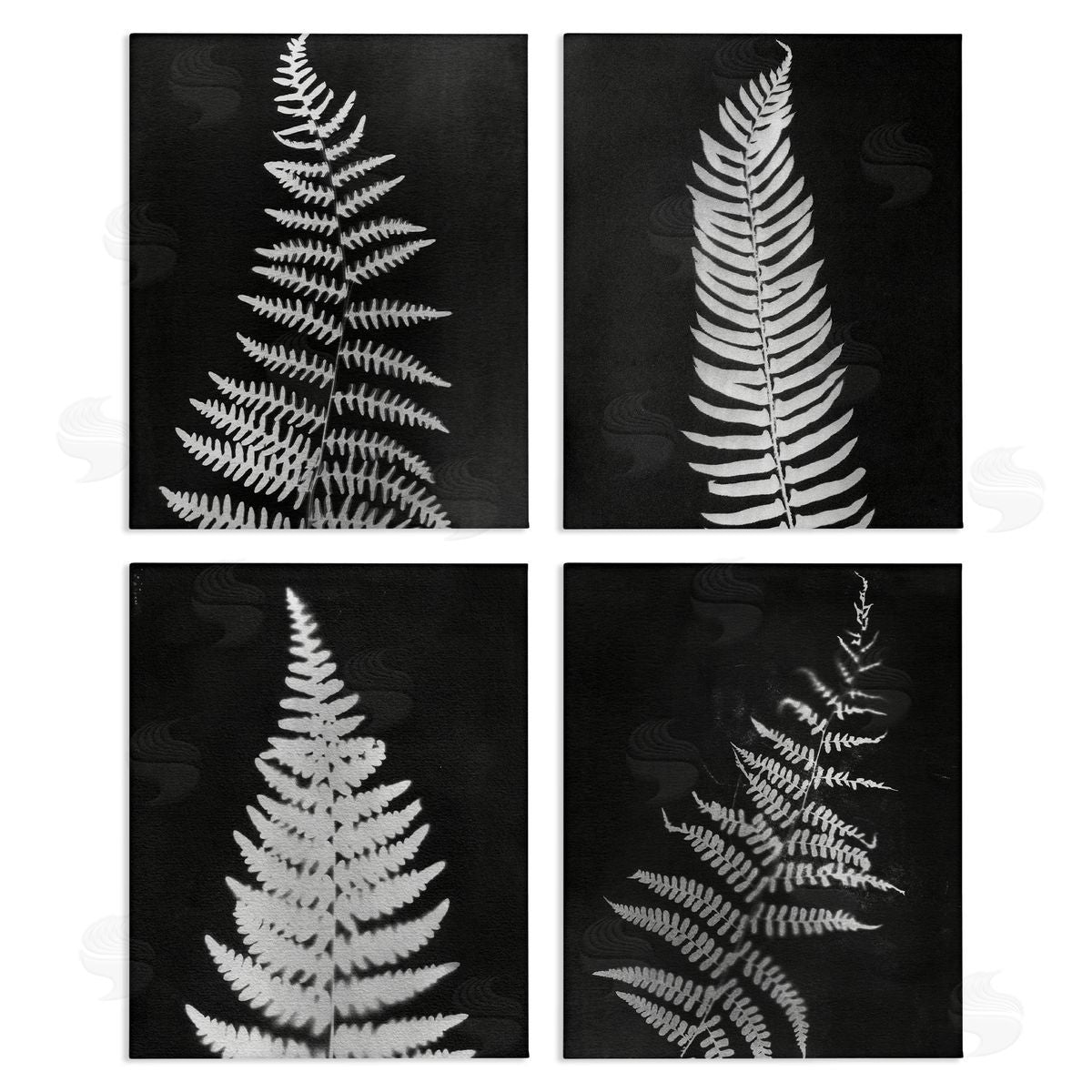 Monochrome Fern Impressions Canvas Wall Art, Home Decor by Connie Resch