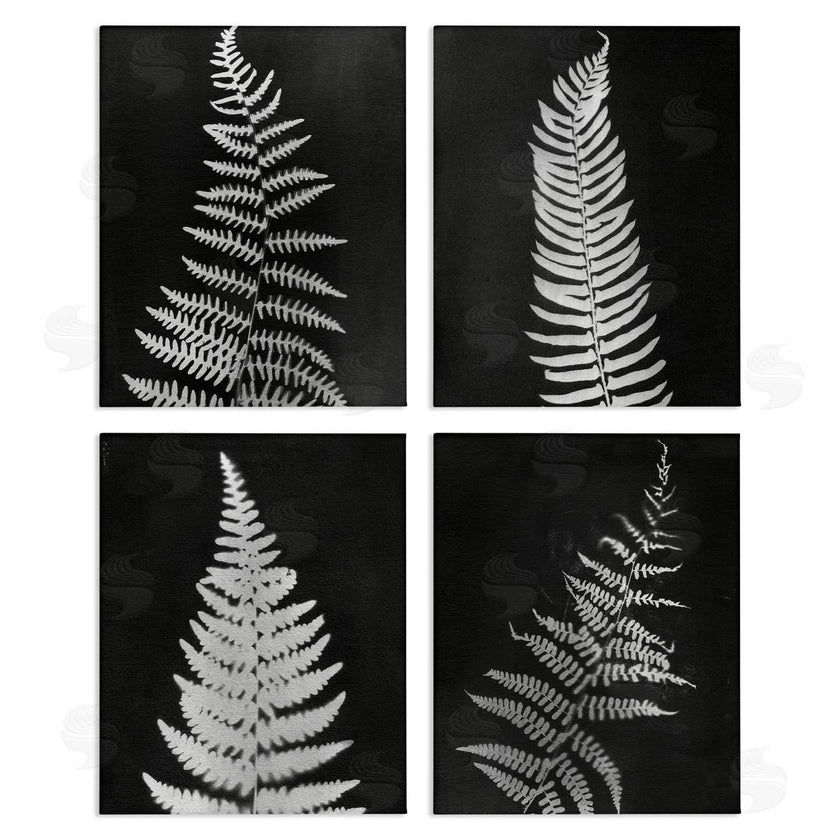Connie Resch | Monochrome Fern Impressions