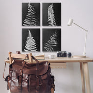 Connie Resch | Monochrome Fern Impressions
