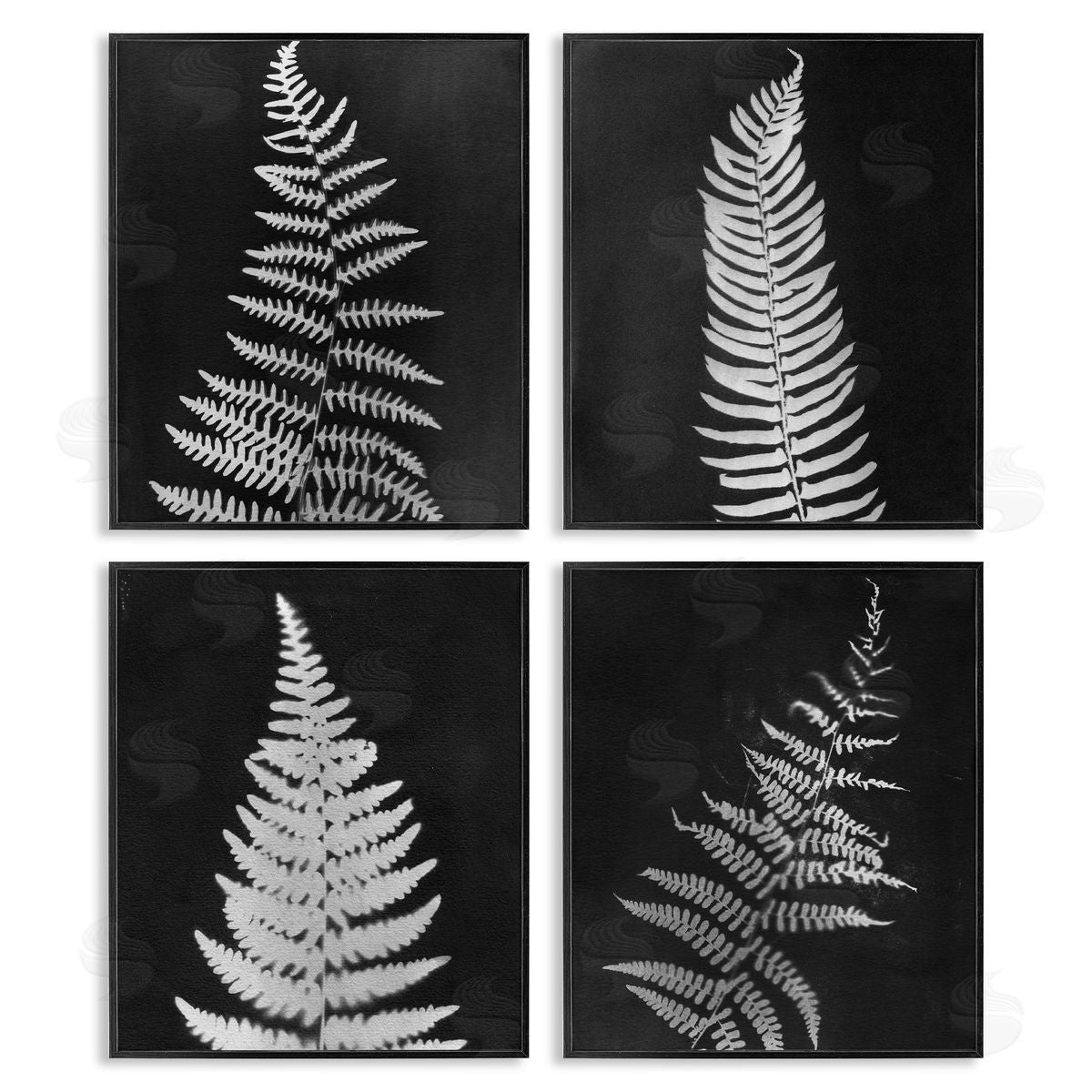 Monochrome Fern Impressions Black Frame Print Wall Art, Home Decor by Connie Resch