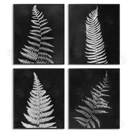 Connie Resch | Monochrome Fern Impressions