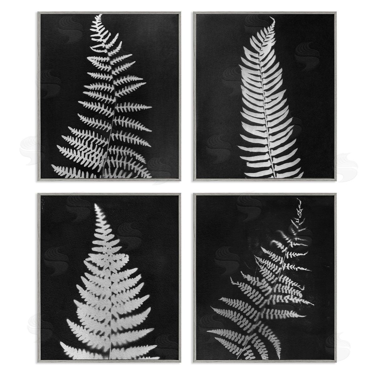 Monochrome Fern Impressions Grey Frame Print Wall Art, Home Decor by Connie Resch