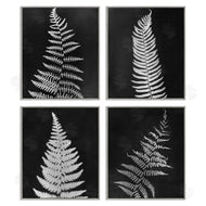 Connie Resch | Monochrome Fern Impressions