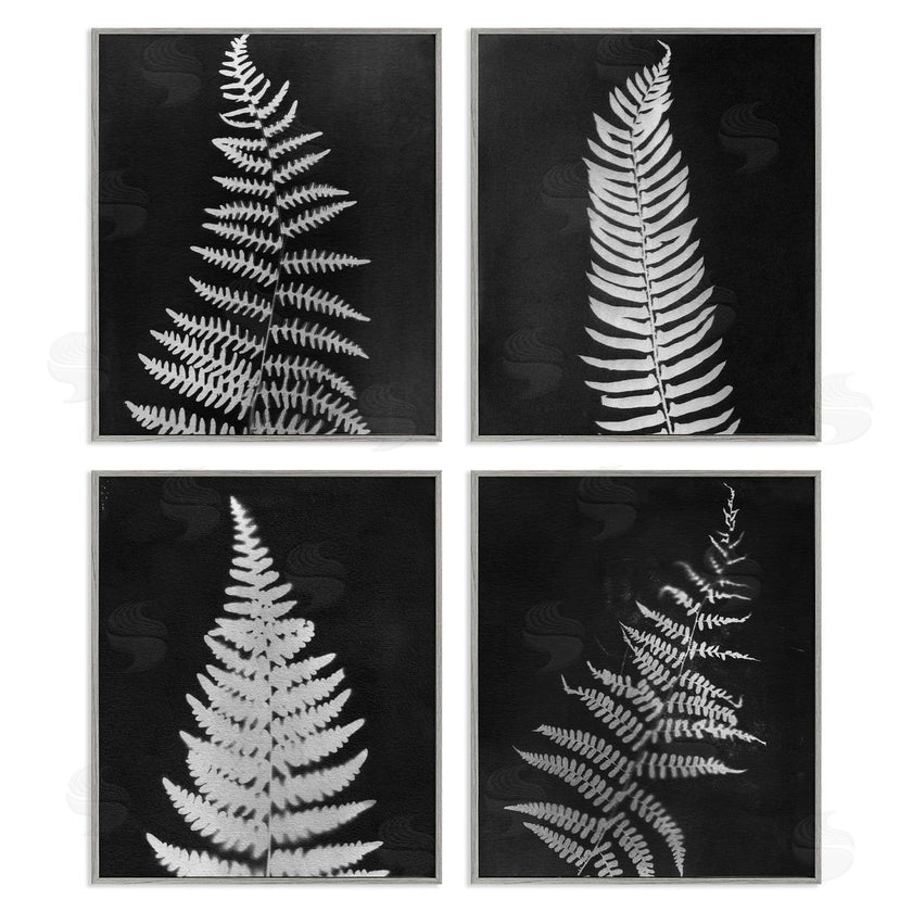 Connie Resch | Monochrome Fern Impressions