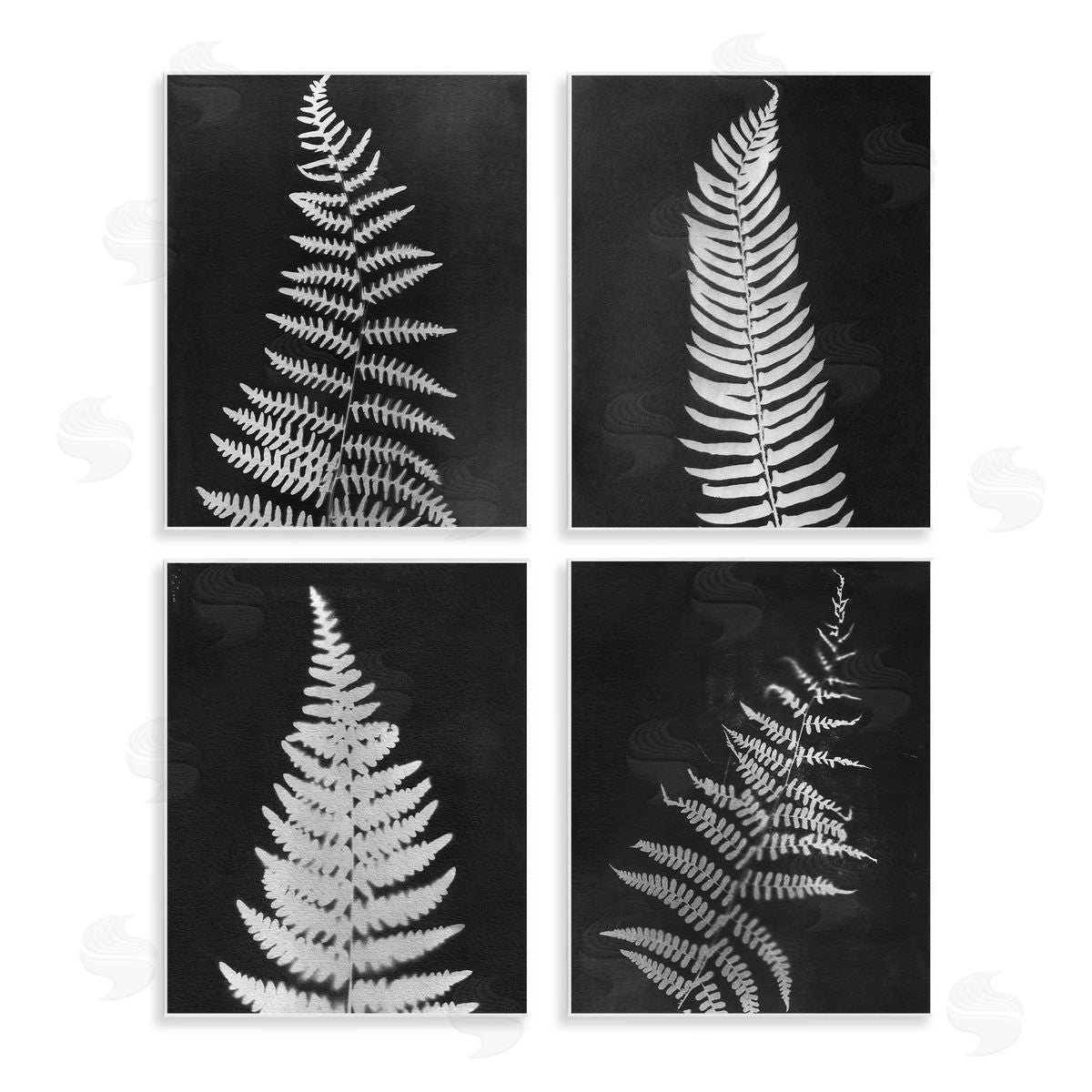 Monochrome Fern Impressions Wood Plaque Wall Art, Home Decor by Connie Resch