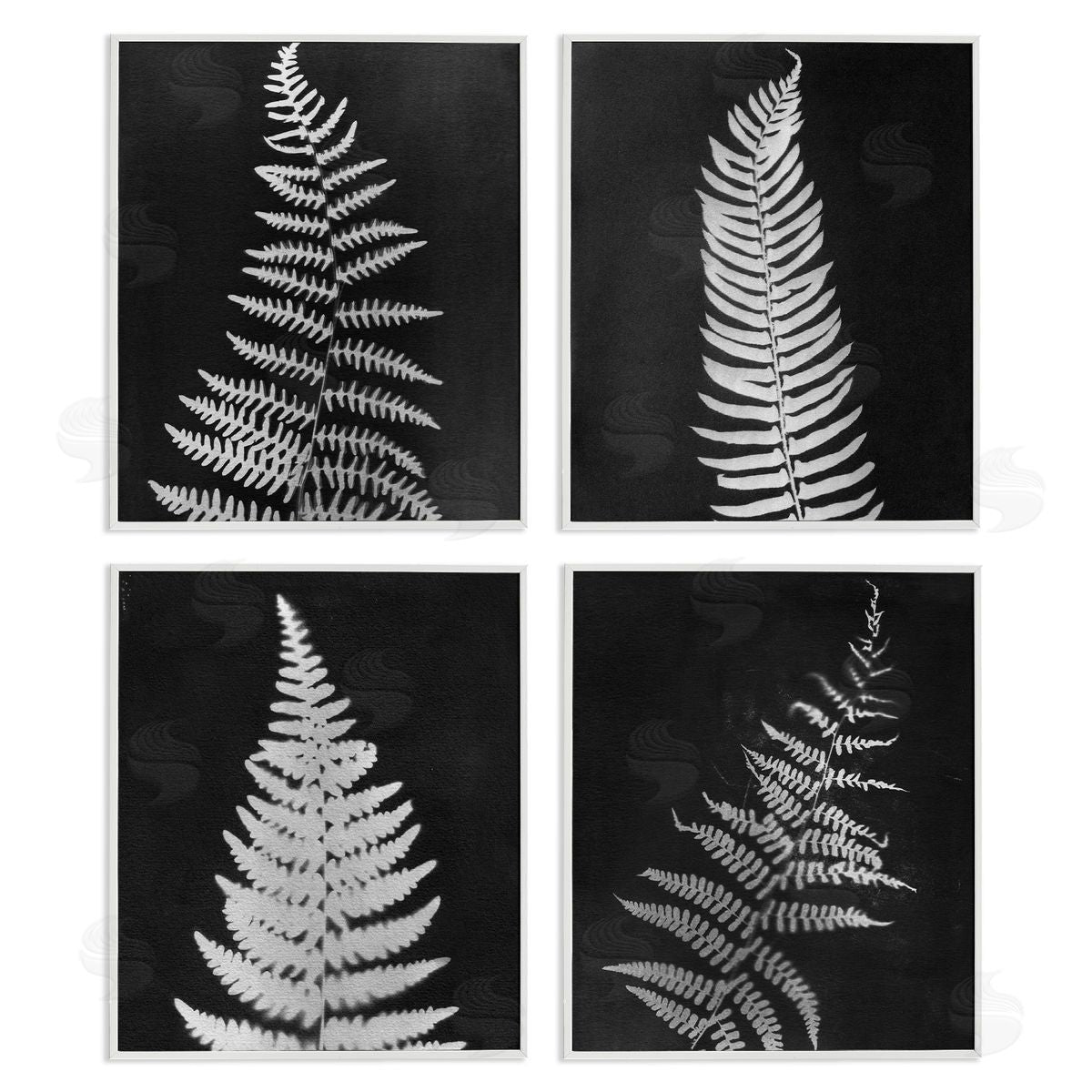 Monochrome Fern Impressions White Frame Print Wall Art, Home Decor by Connie Resch