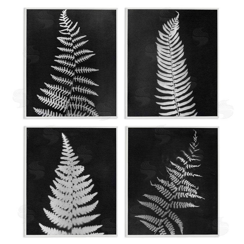 Connie Resch | Monochrome Fern Impressions
