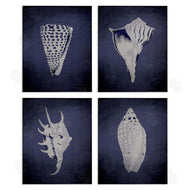 Graffi*tee Studios | Shells on Indigo Gradient