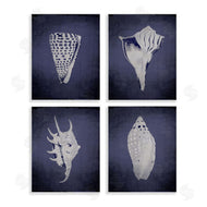 Graffi*tee Studios | Shells on Indigo Gradient