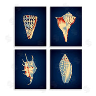 Graffi*tee Studios | Bright Shells on Indigo