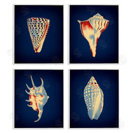 Graffi*tee Studios | Bright Shells on Indigo