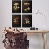 Tina Higgins Designs, Inc. | Mushroom Genus Studies