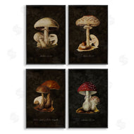 Tina Higgins Designs, Inc. | Mushroom Genus Studies