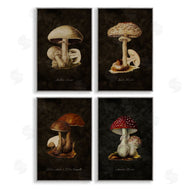 Tina Higgins Designs, Inc. | Mushroom Genus Studies