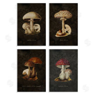 Tina Higgins Designs, Inc. | Mushroom Genus Studies
