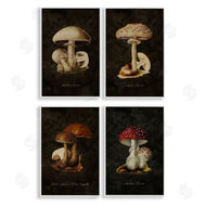 Tina Higgins Designs, Inc. | Mushroom Genus Studies