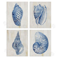 Susan Arnot | Blue Seashells on Beige