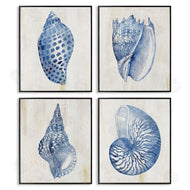 Susan Arnot | Blue Seashells on Beige