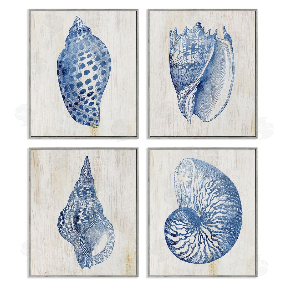 Blue Seashells on Beige Grey Frame Print Wall Art, Home Decor by Susan Arnot
