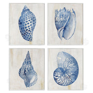 Susan Arnot | Blue Seashells on Beige