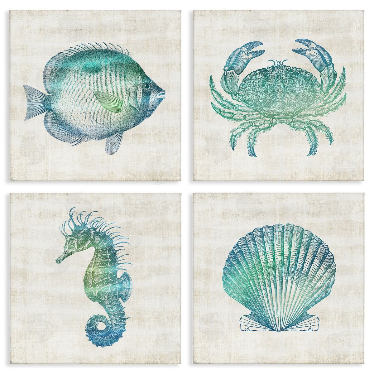 Aquatic Sea Life Impressions Canvas Wall Art, Home Decor by Susan Arnot