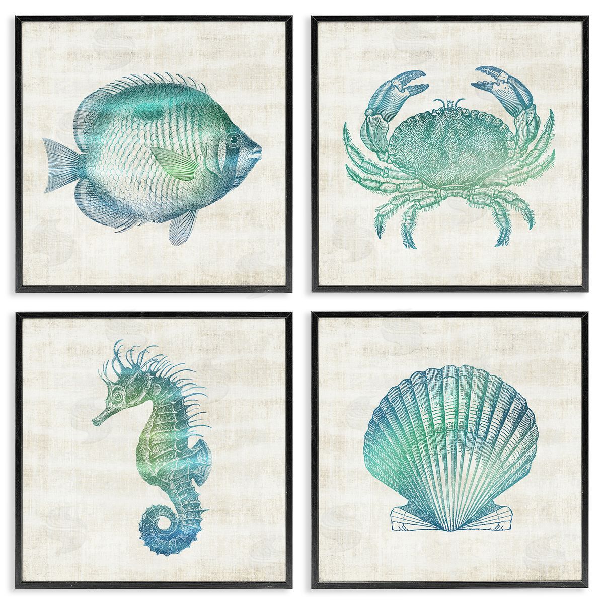 Aquatic Sea Life Impressions Black Frame Print Wall Art, Home Decor by Susan Arnot