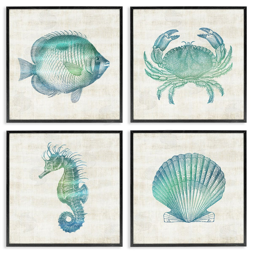 Susan Arnot | Aquatic Sea Life Impressions