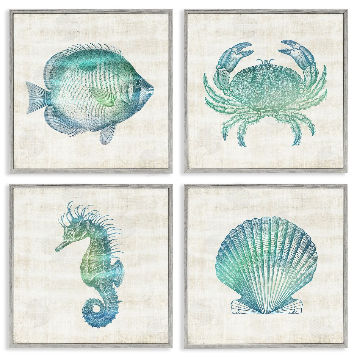 Aquatic Sea Life Impressions Grey Frame Print Wall Art, Home Decor by Susan Arnot