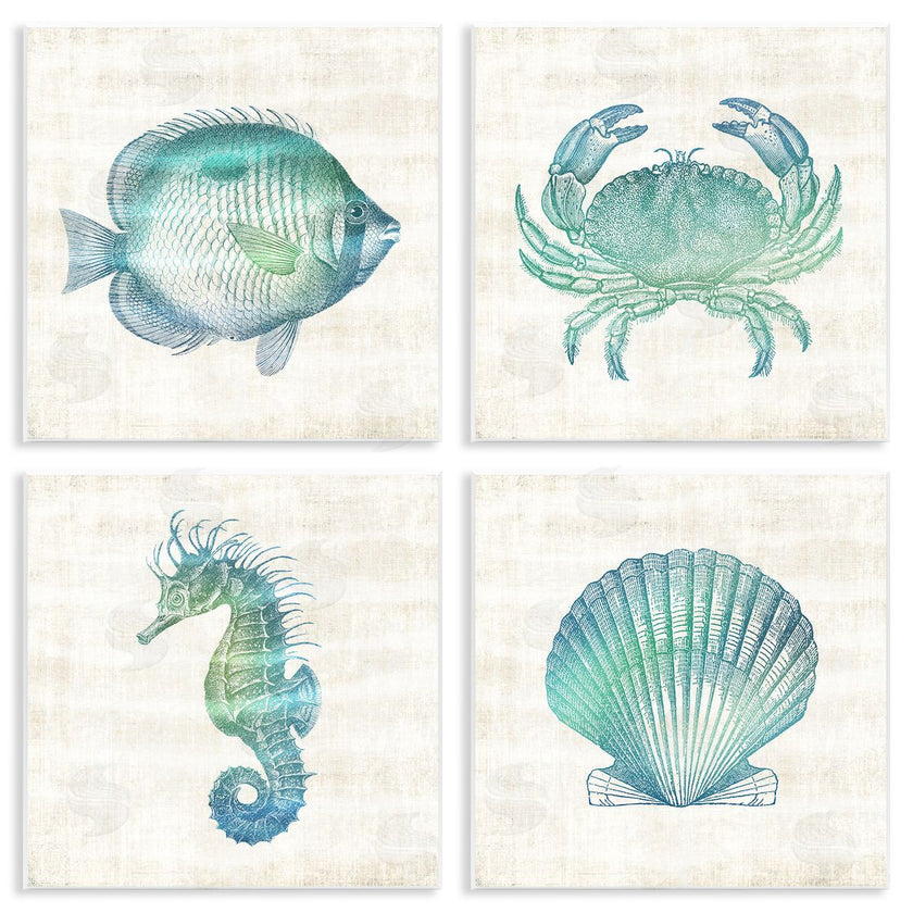 Susan Arnot | Aquatic Sea Life Impressions