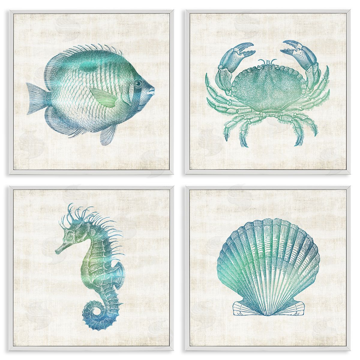 Aquatic Sea Life Impressions White Frame Print Wall Art, Home Decor by Susan Arnot