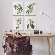 CAD Designs | Various Vintage Botanicals