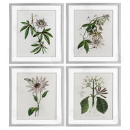 CAD Designs | Various Vintage Botanicals