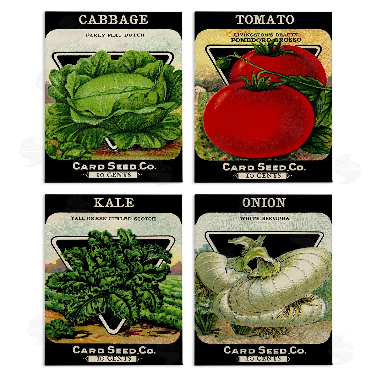 Vintage Garden Cabbage Canvas Wall Art, Home Decor by Stupell Studio