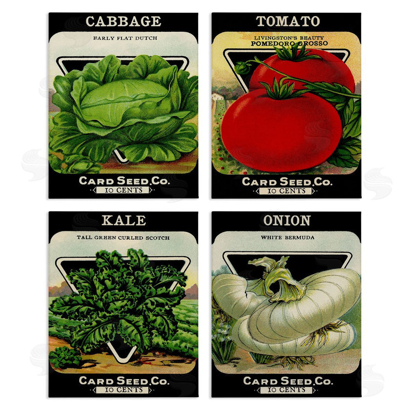 Stupell Studio | Vintage Garden Cabbage