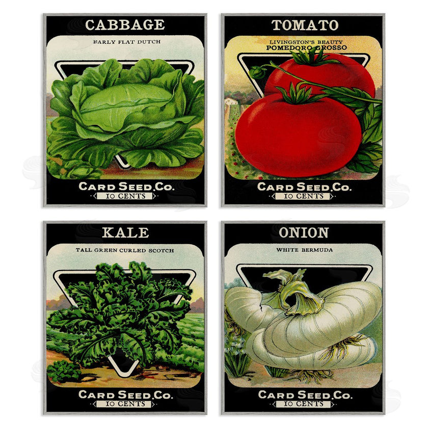 Stupell Studio | Vintage Garden Cabbage