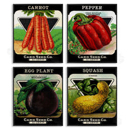 Stupell Studio | Vintage Farm Garden Vegetables