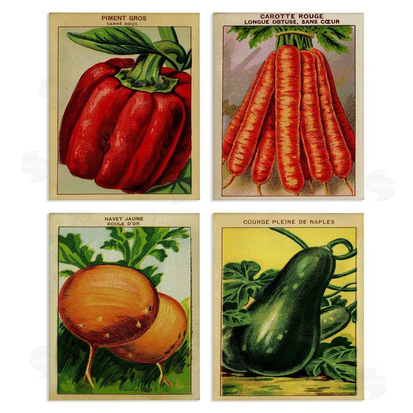 Stupell Studio | Rustic Garden Vegetables