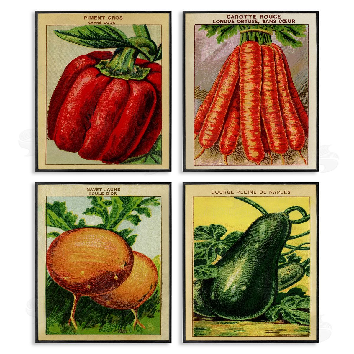 Rustic Garden Vegetables Black Frame Print Wall Art, Home Decor by Stupell Studio