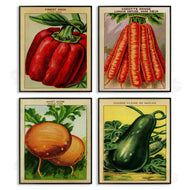 Stupell Studio | Rustic Garden Vegetables