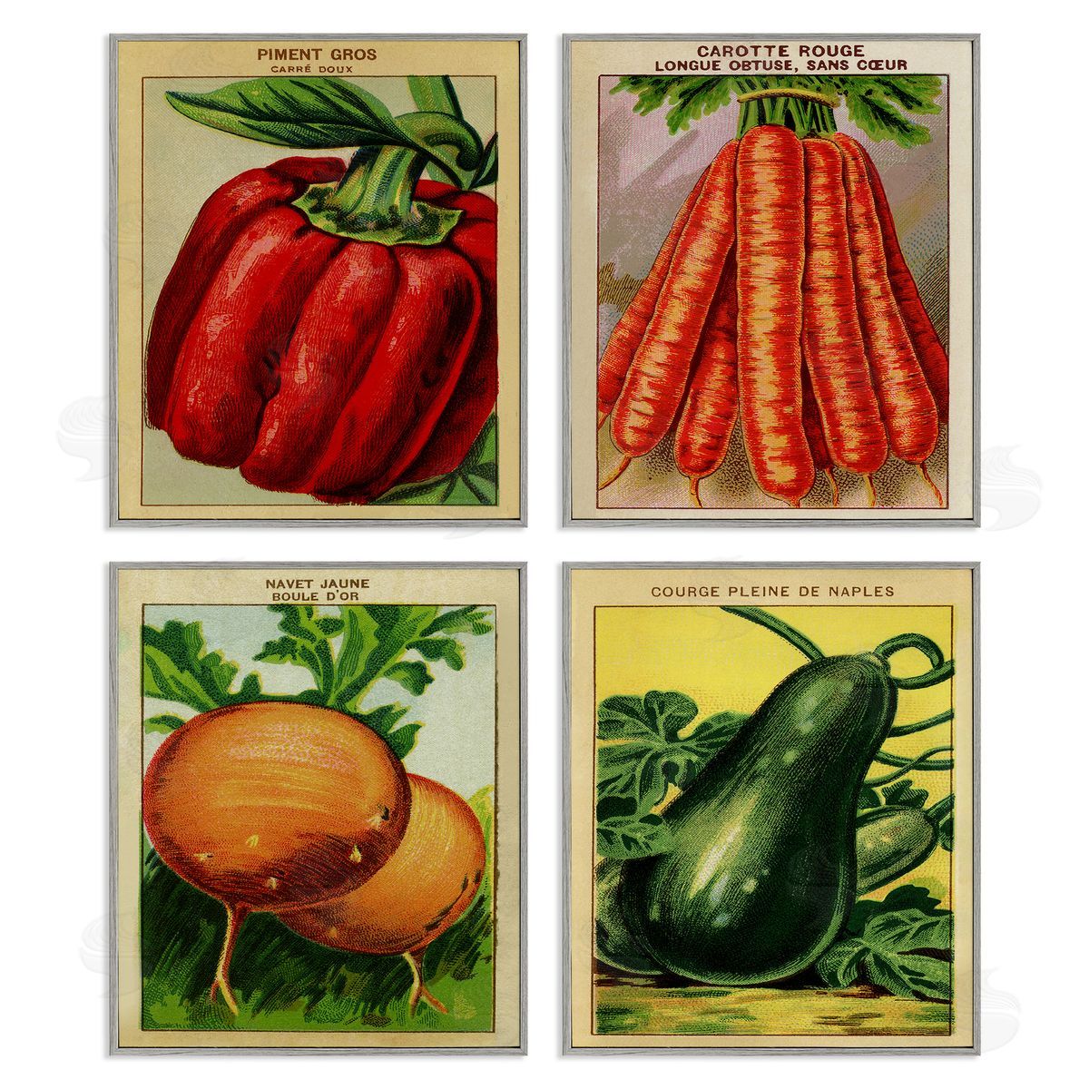 Rustic Garden Vegetables Grey Frame Print Wall Art, Home Decor by Stupell Studio