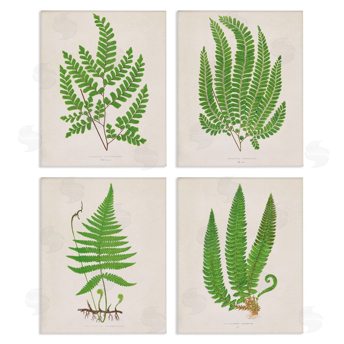 Subtle Green Fern Branches Canvas Wall Art, Home Decor by Phillipa Katz