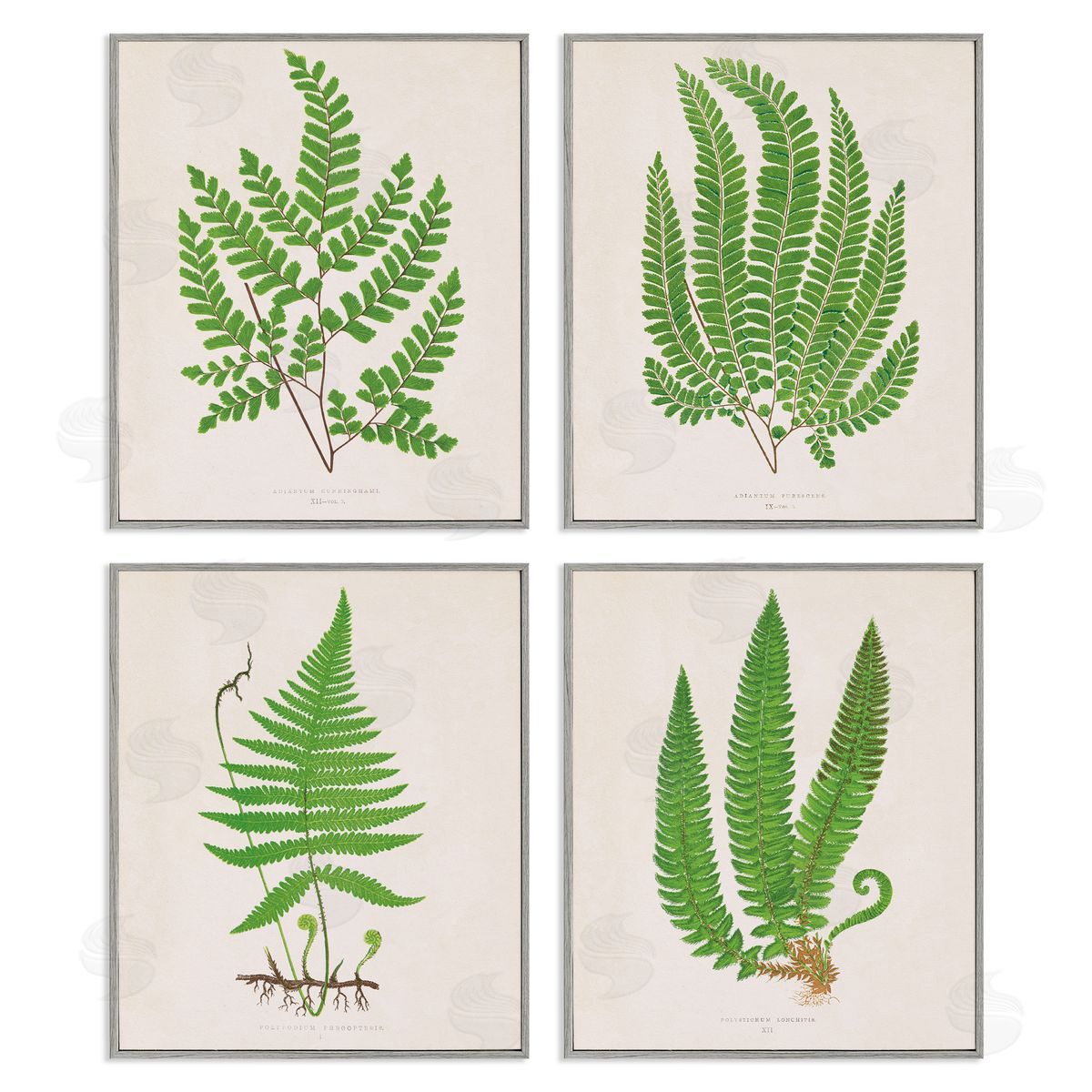 Subtle Green Fern Branches Grey Frame Print Wall Art, Home Decor by Phillipa Katz