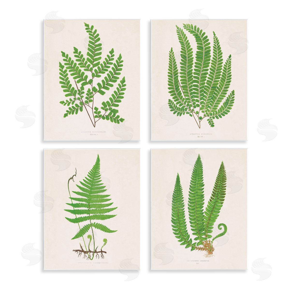 Subtle Green Fern Branches Wood Plaque Wall Art, Home Decor by Phillipa Katz
