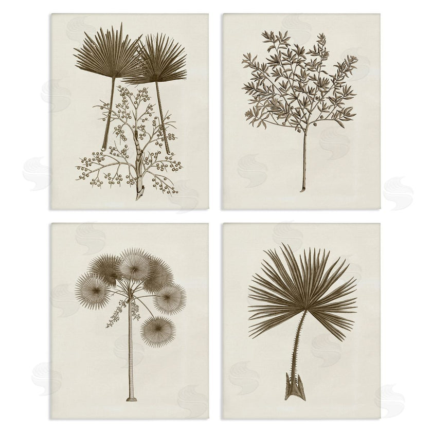 Phillipa Katz | Various Vintage Palm Leaves
