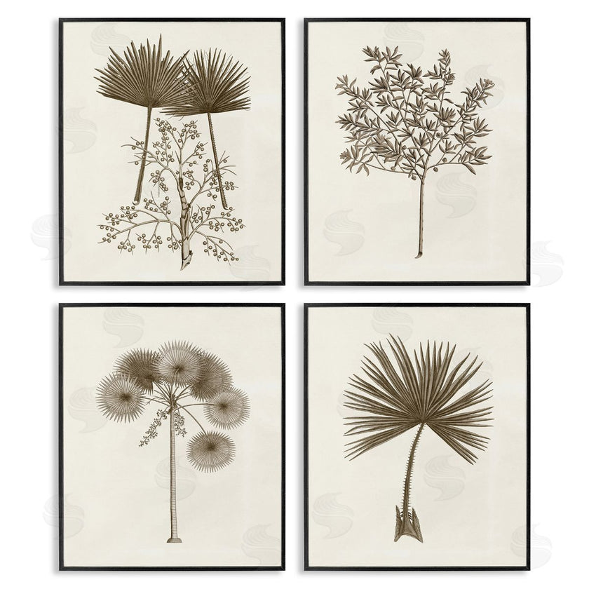 Phillipa Katz | Various Vintage Palm Leaves