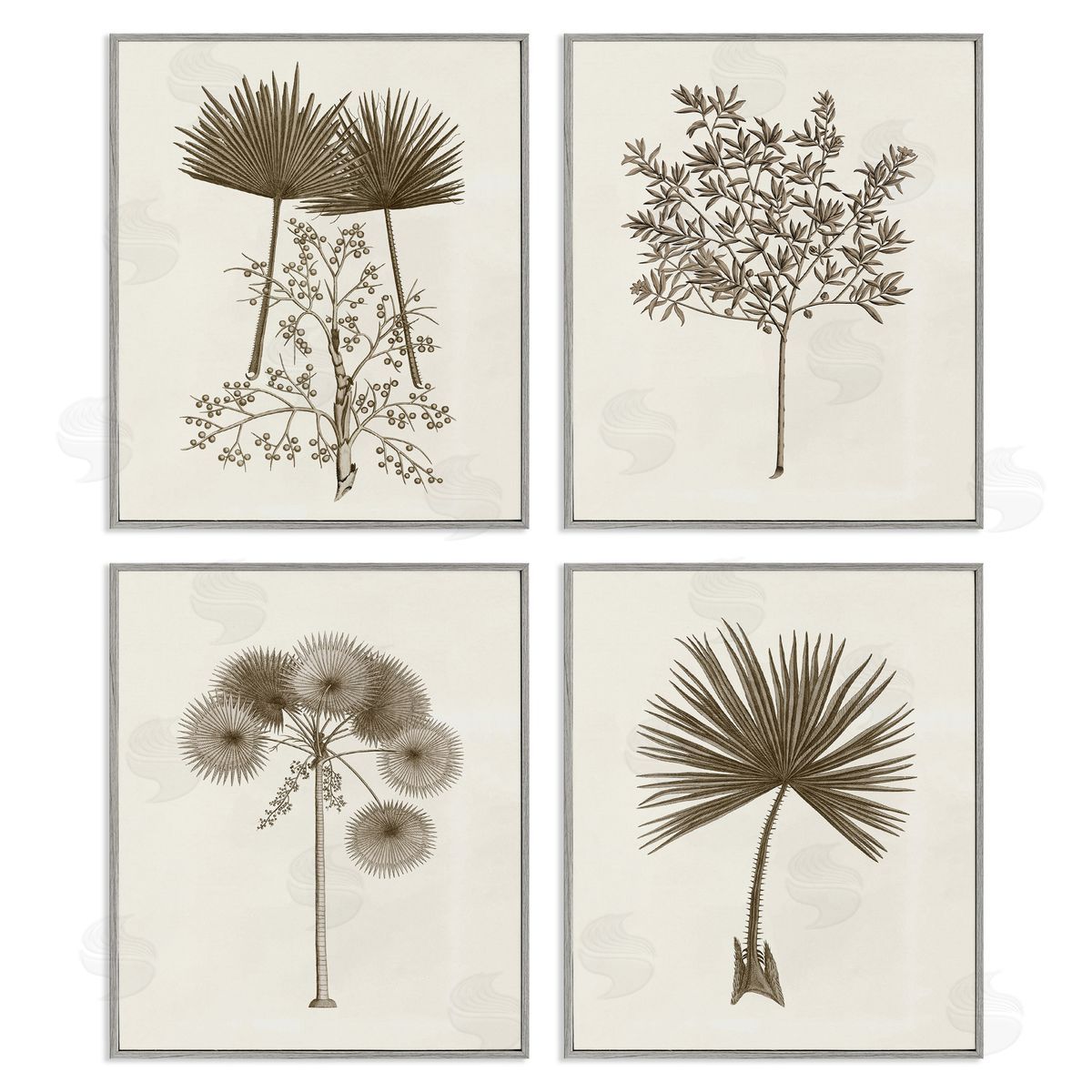 Various Vintage Palm Leaves Grey Frame Print Wall Art, Home Decor by Phillipa Katz