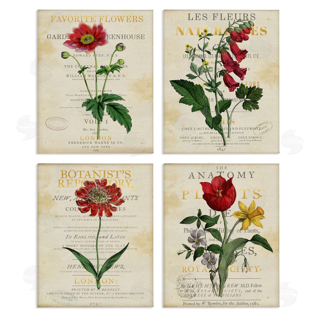 Susan Arnot | Vintage Flowers over Antique Pages